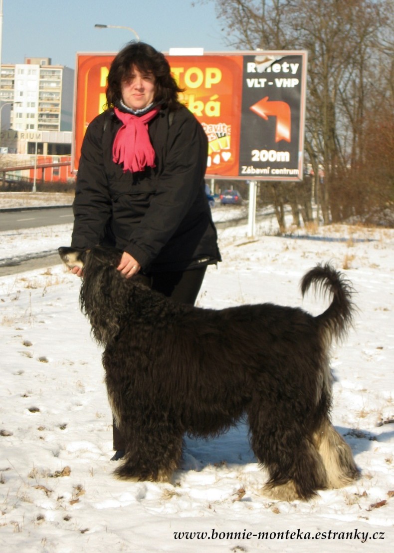 Bonnie_zima_2012_v postoji