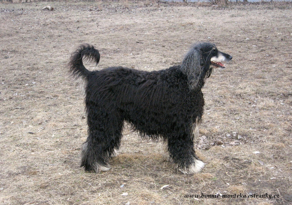 Bonnie_02_03_12_c