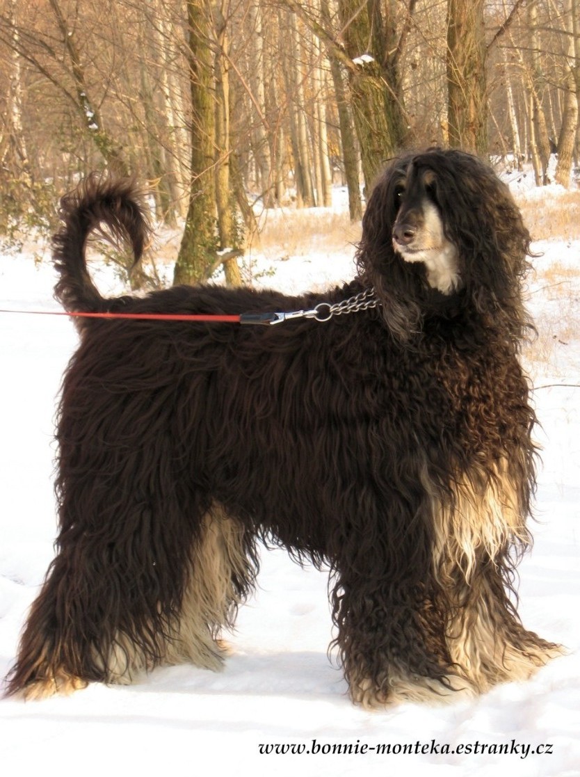 Bonnie_zima_2012_moje maličkost_2