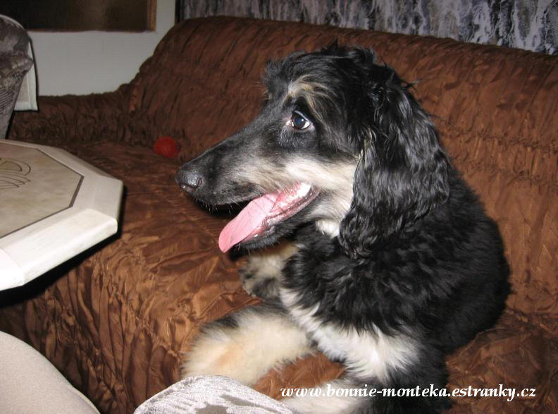 2007_leden_nový rok