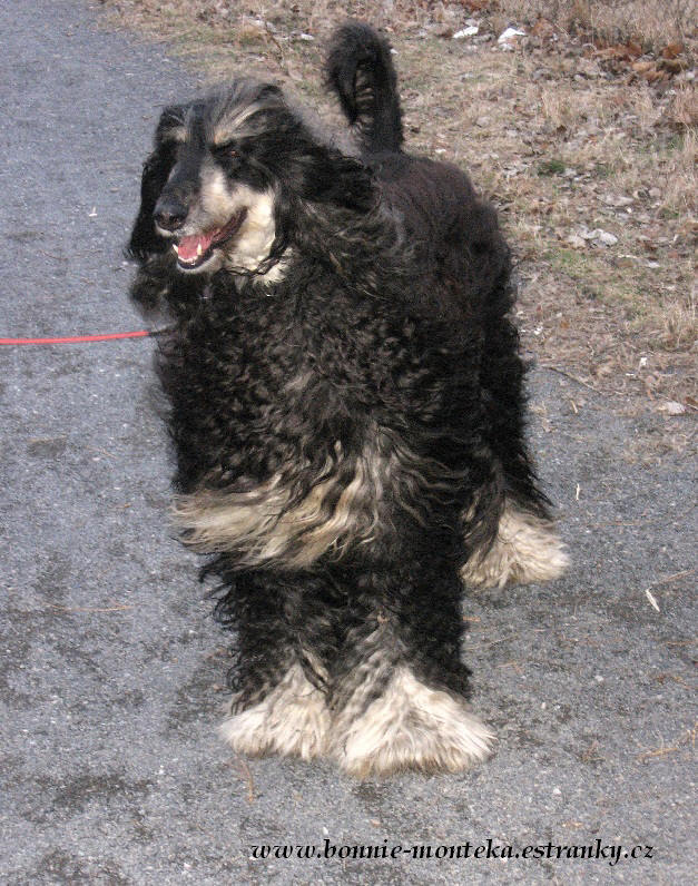 Bonnie_02_03_12_b