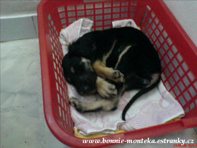 Bonnie_24_9_06c