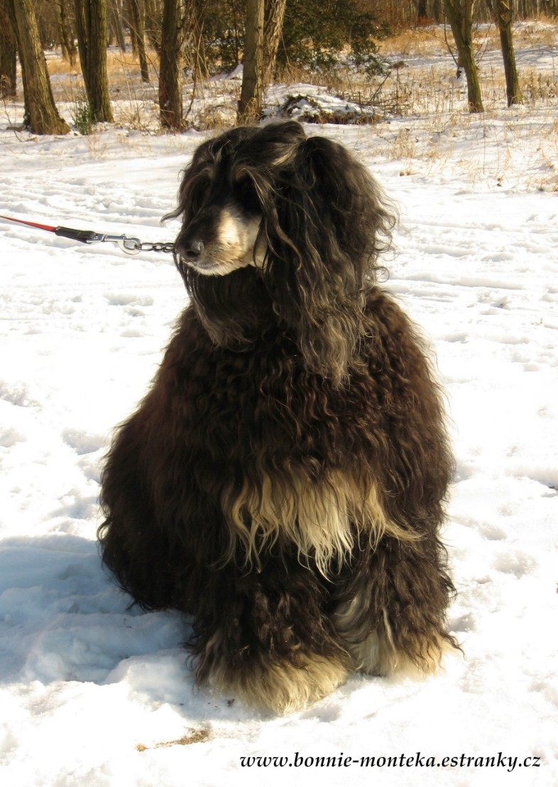 Bonnie_zima_2012_moje maličkost