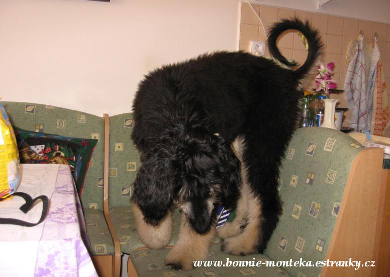 2007_a jak teď dolů