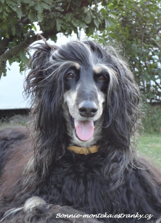 2011_Bonnie_Vytlemílek