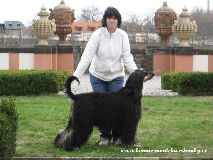 Bonnie_Trojský zámeček_postoj_2