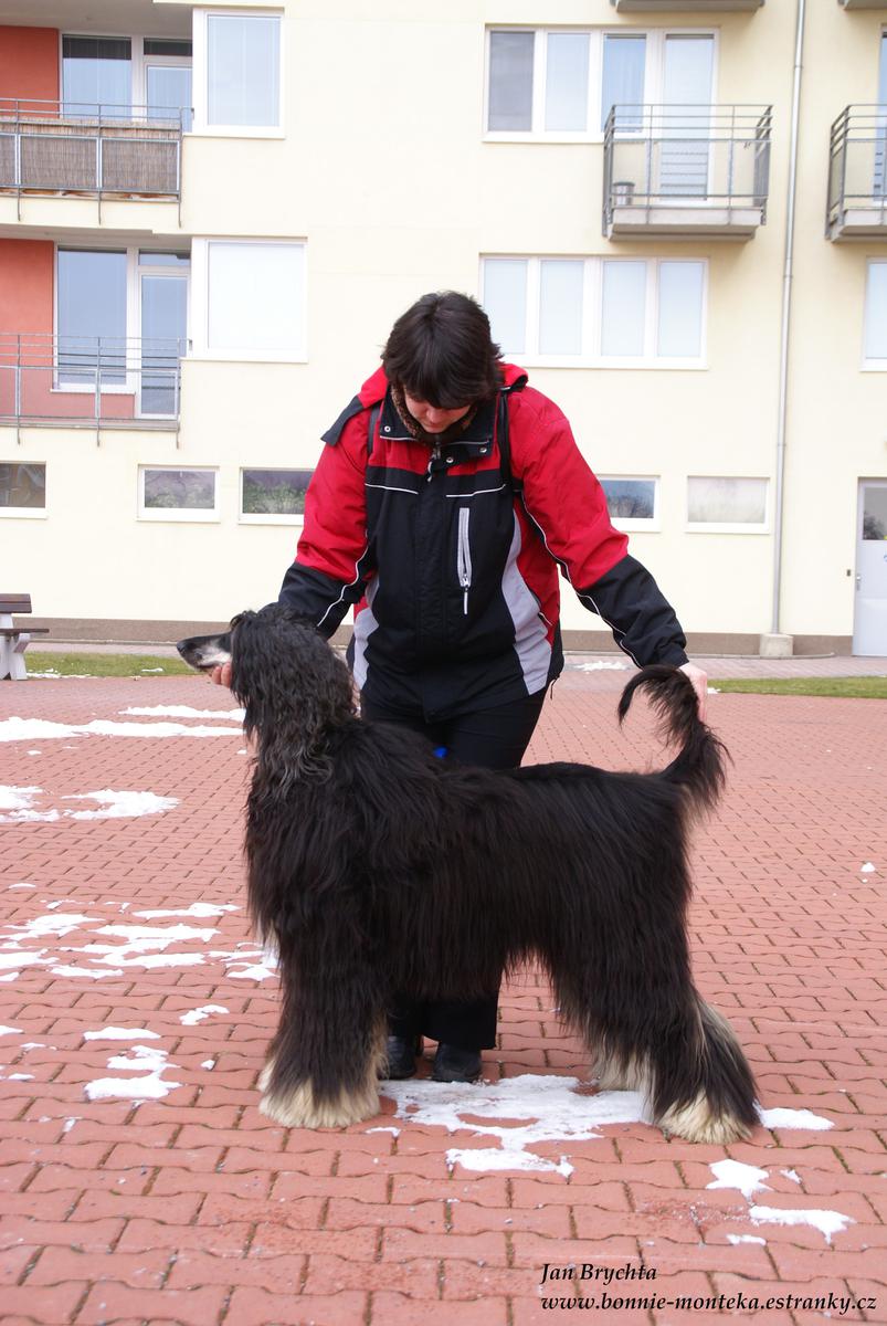 2011_únor v postoj