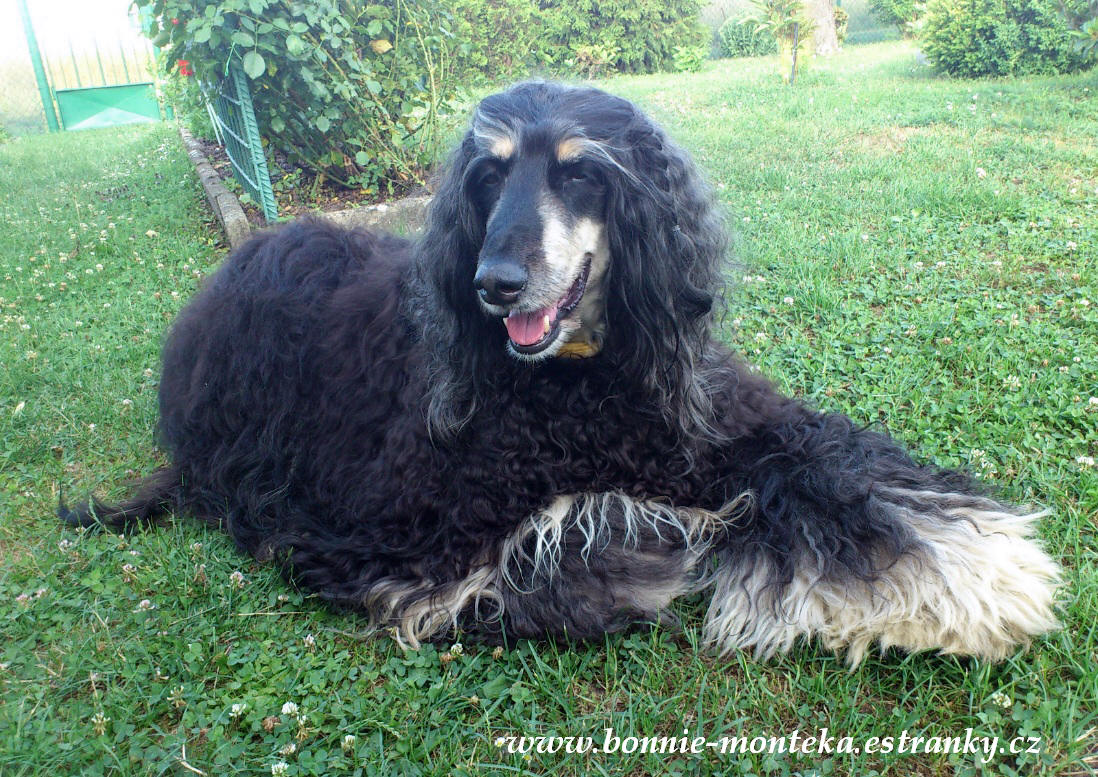 Bonnie_a její culíčky_07_12_a