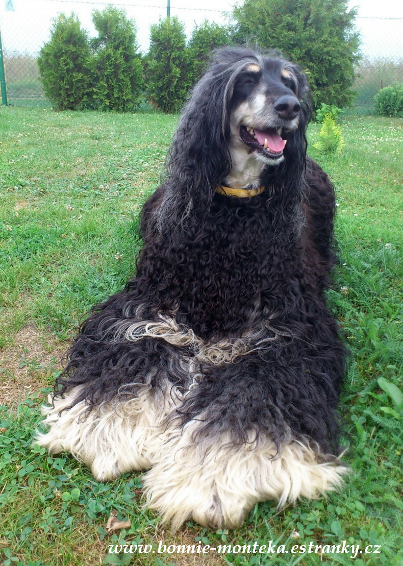 Bonnie_její veličenstvo_07_12_a