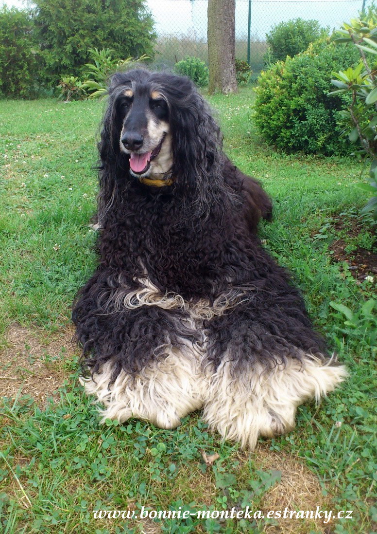 Bonnie_její veličenstvo_07_12