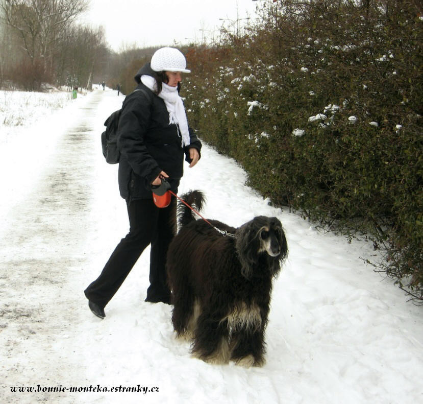 Bonnie_zima_2013_momentka