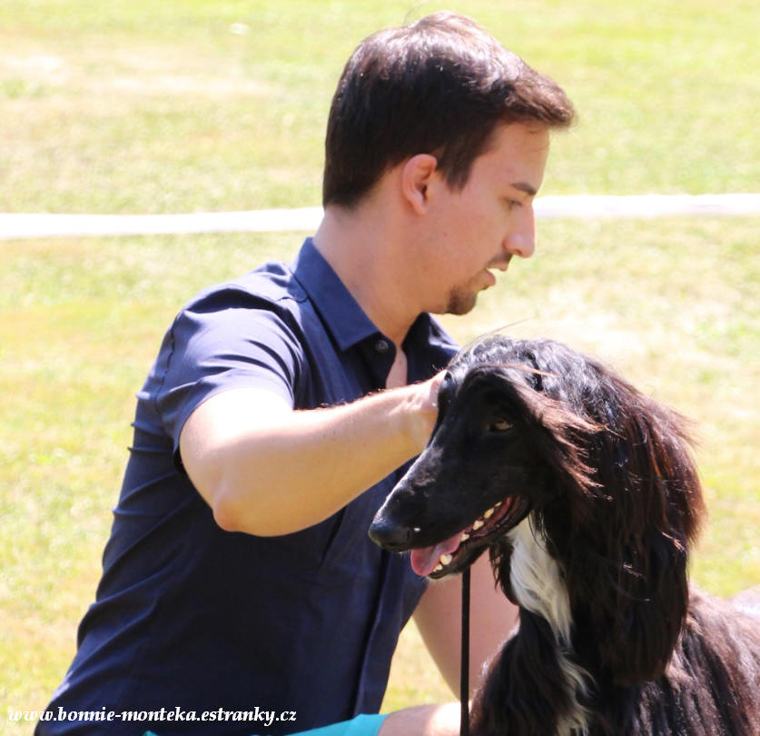 2013_Club Sighthound Show_White Infinity_s_Esme and Enrico Stefanizzi