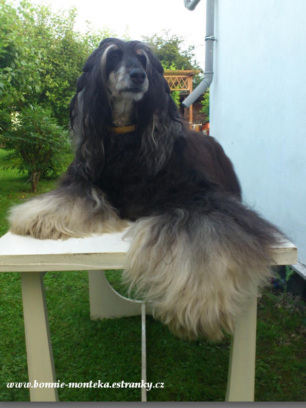 Bonnie_Monteka_2013_2