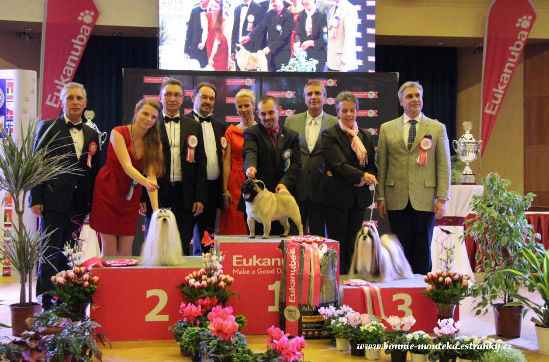 2013_ŠŠ ČR _FCI_IX_Best of Group