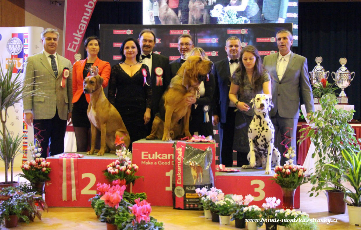 2013_ŠŠ ČR _FCI_VI_Best of Group