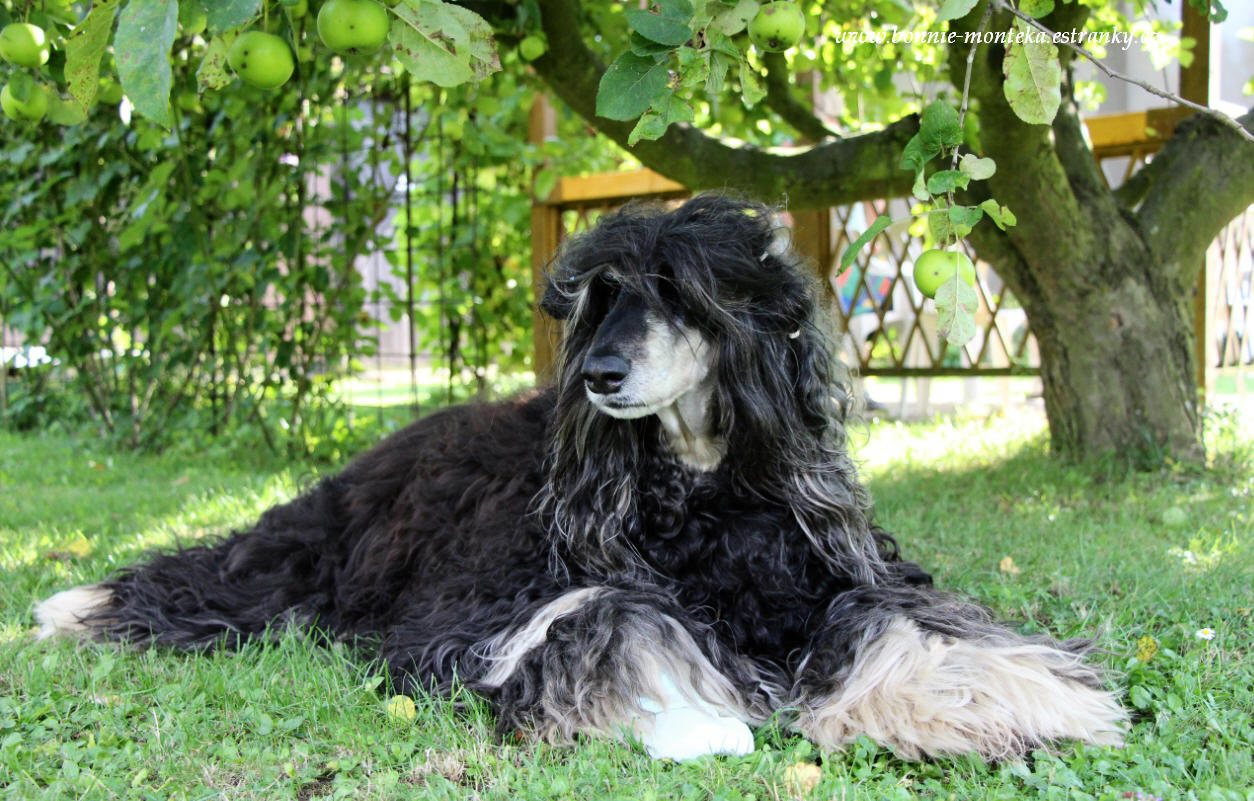 2014_Bonnie_dovolená_červenec_4