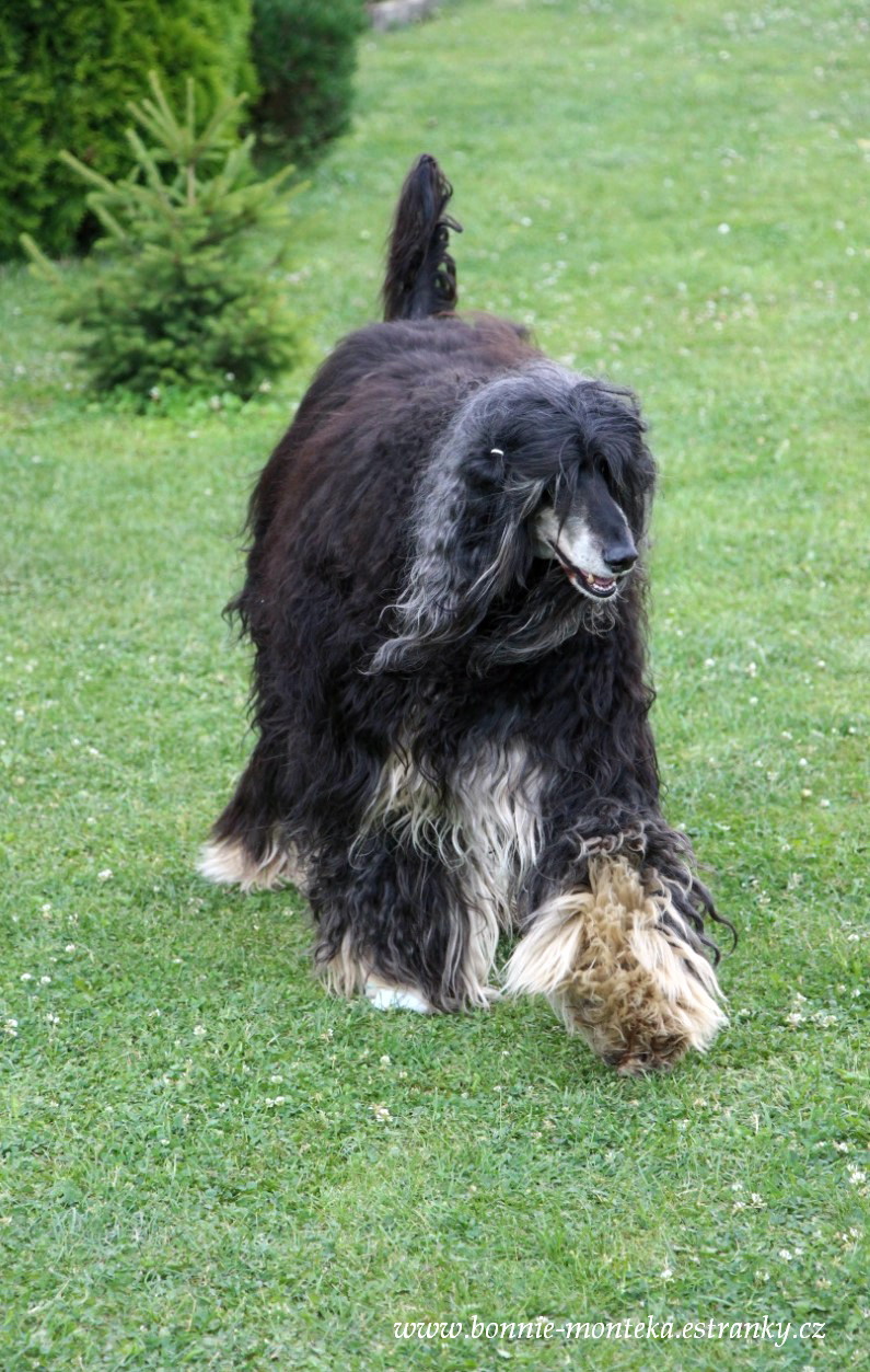 2014_Bonnie_dovolená_červenec_5