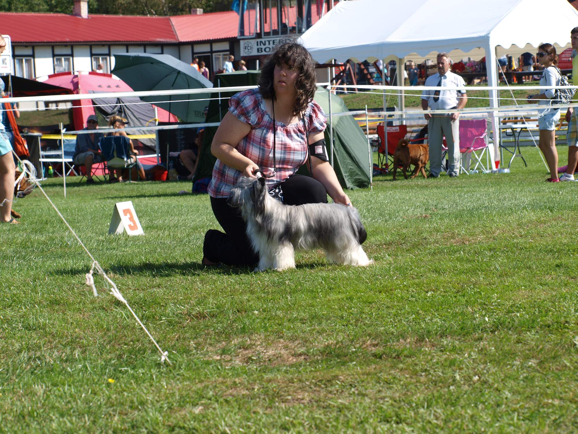 Interdodog Bohemia 2015_Caterham Shahrastani