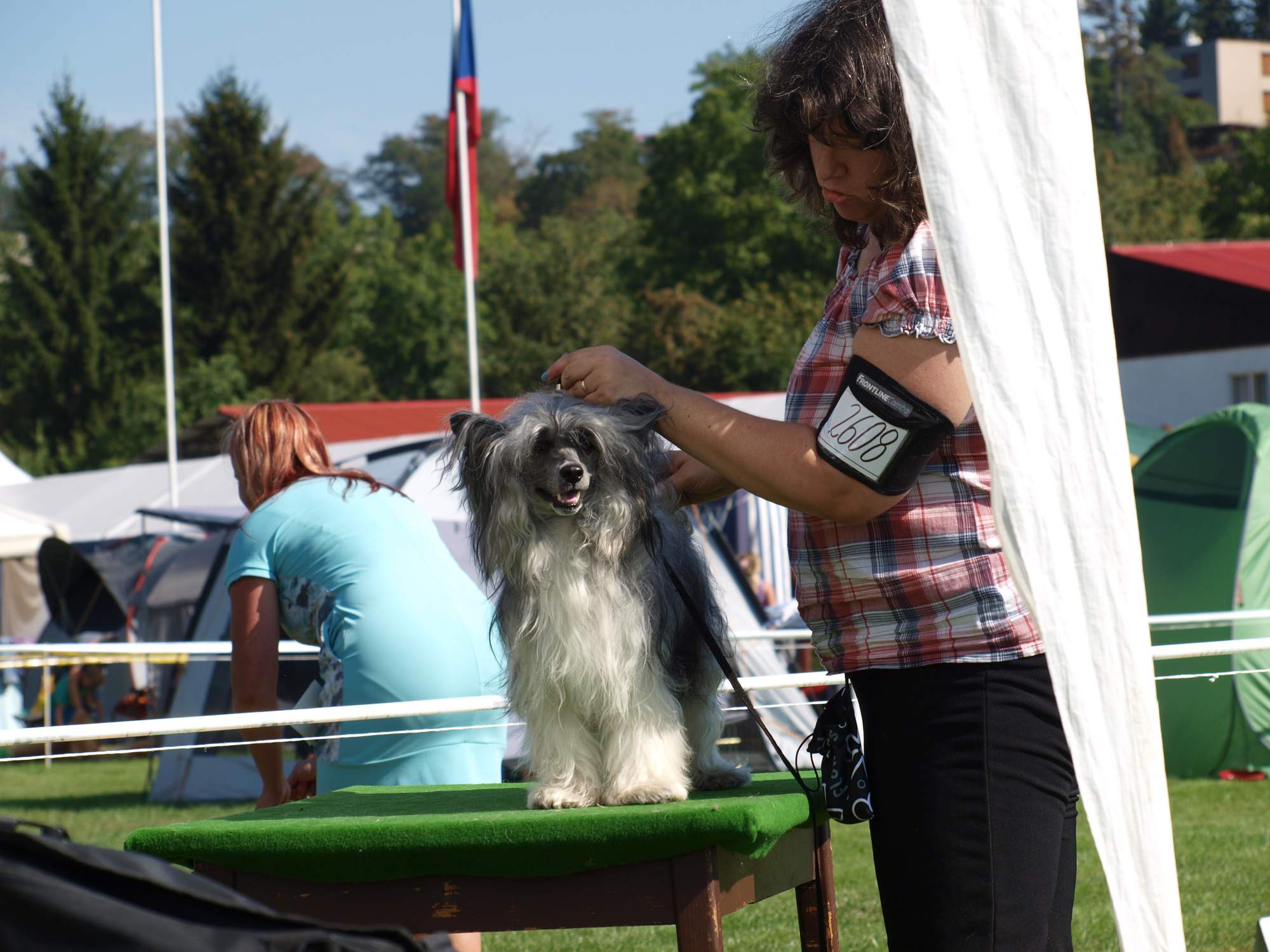 Interdodog Bohemia 2015_Caterham Shahrastani_pokus postavit se na stůl_hurá_2