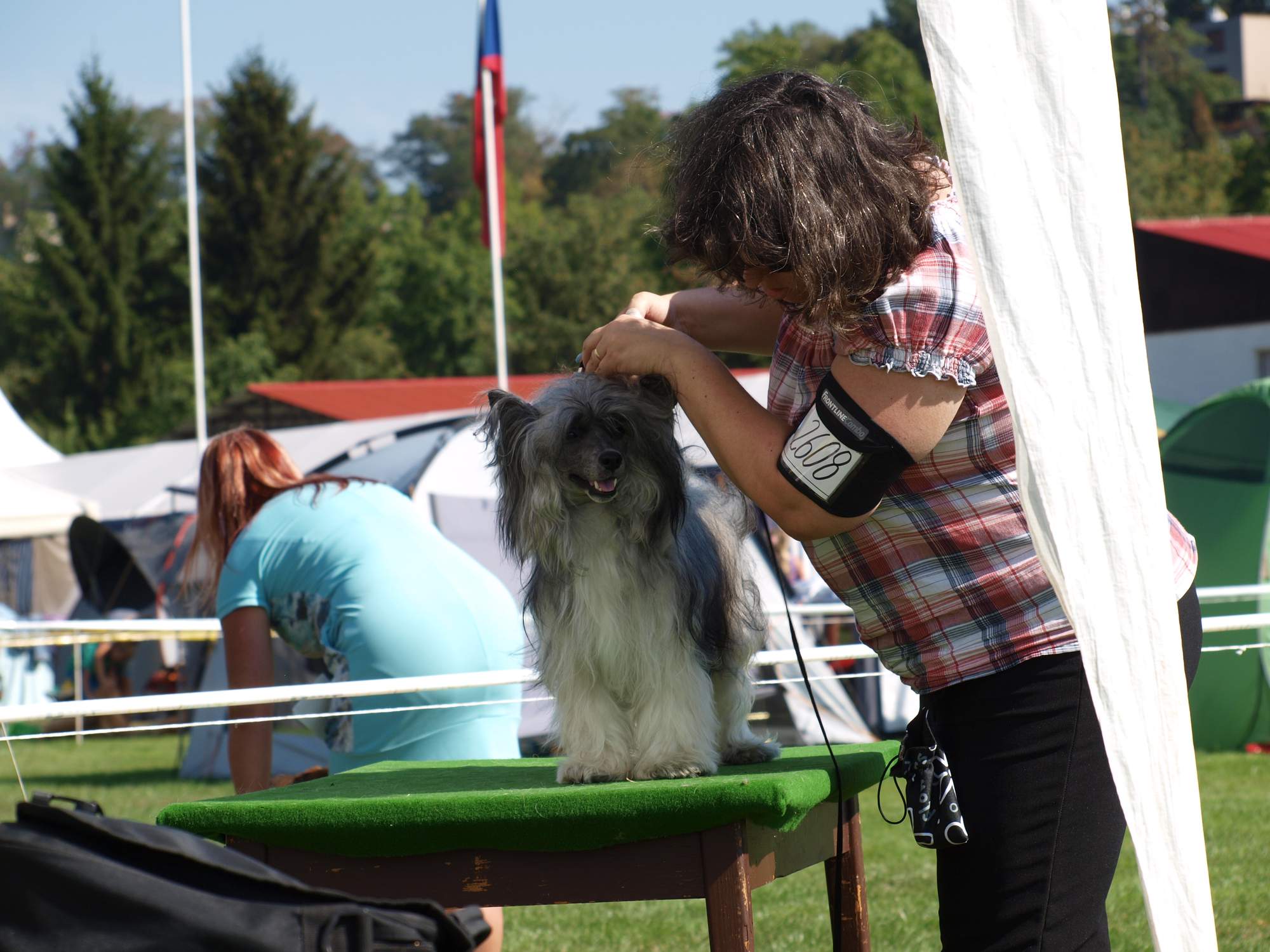 Interdodog Bohemia 2015_Caterham Shahrastani_pokus postavit se na stůl_hurá_3