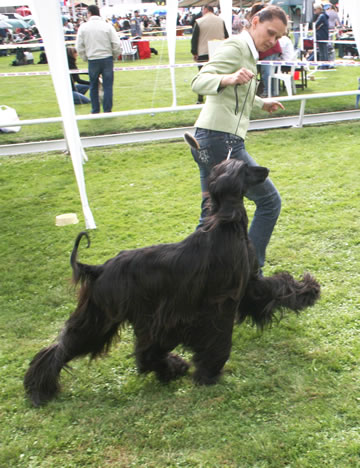 Annabella_van_de_Robega_pohyb.jpg